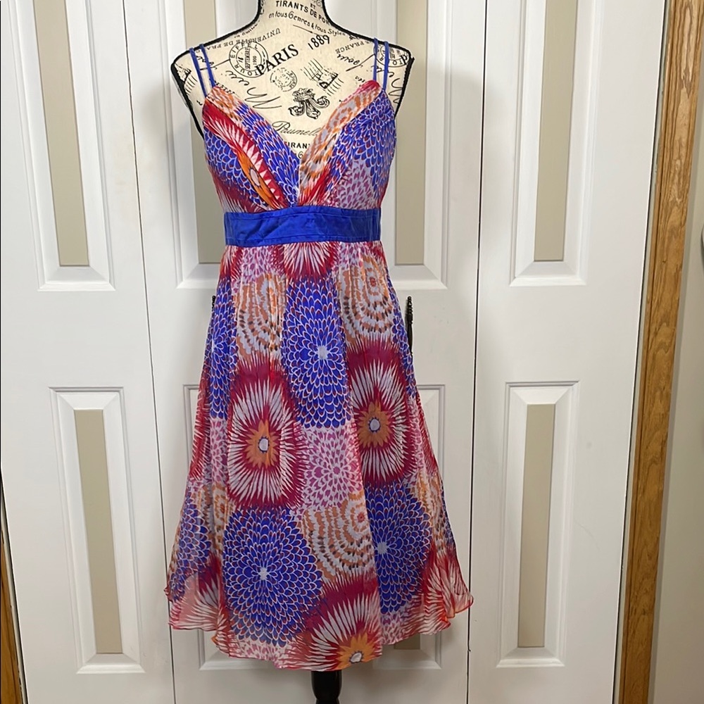 OLEG CASSINI Sz‎ 8 Floral Burst 100% Silk Spaghetti Strap Empire Waist Dress Y2K